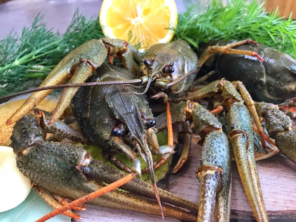 Живые раки